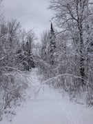 Winter - Write Your Business Blog