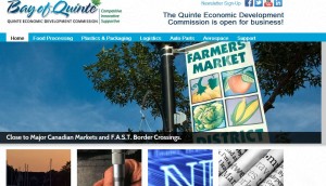 QEDC After a Content Marketing Strategic Plan and Website Copywriting