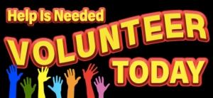 non-profit website volunteers